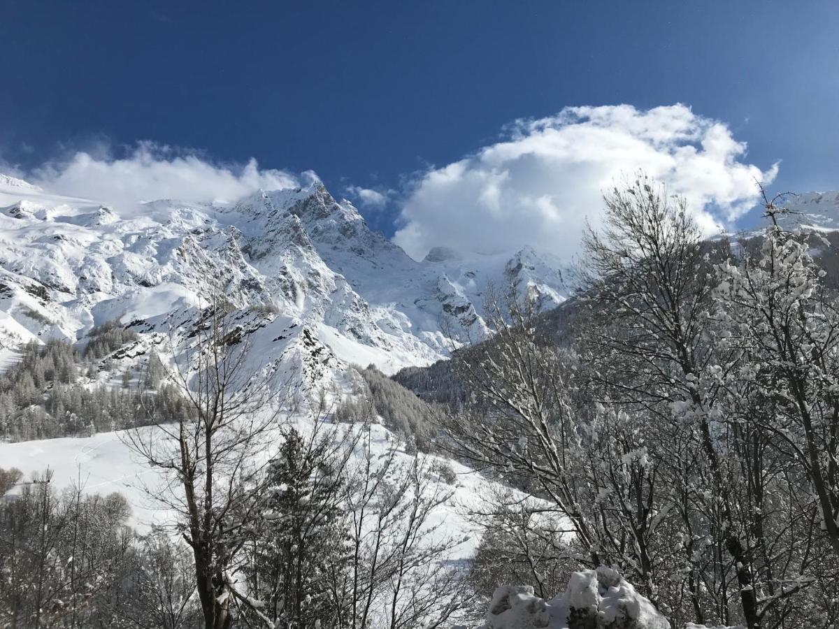 Hotel Des Alpes - Skiers & Bikers Lodge Ла Грав Екстериор снимка
