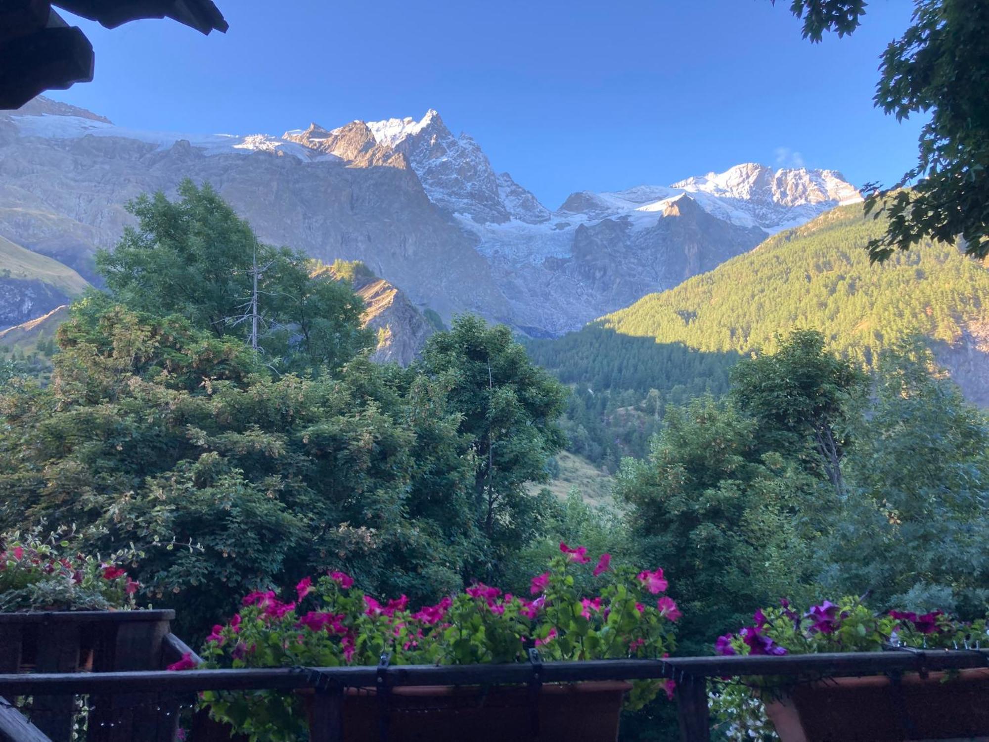 Hotel Des Alpes - Skiers & Bikers Lodge Ла Грав Екстериор снимка