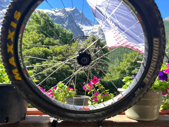 Hotel Des Alpes - Skiers & Bikers Lodge Ла Грав Екстериор снимка